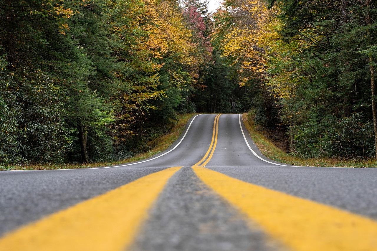 Route écologique dans la nature